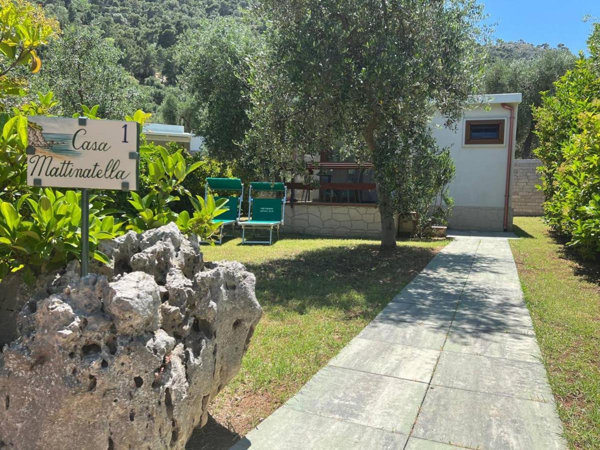 Agriturismo Antichi Ulivi มัตตีนาตา ภายนอก รูปภาพ