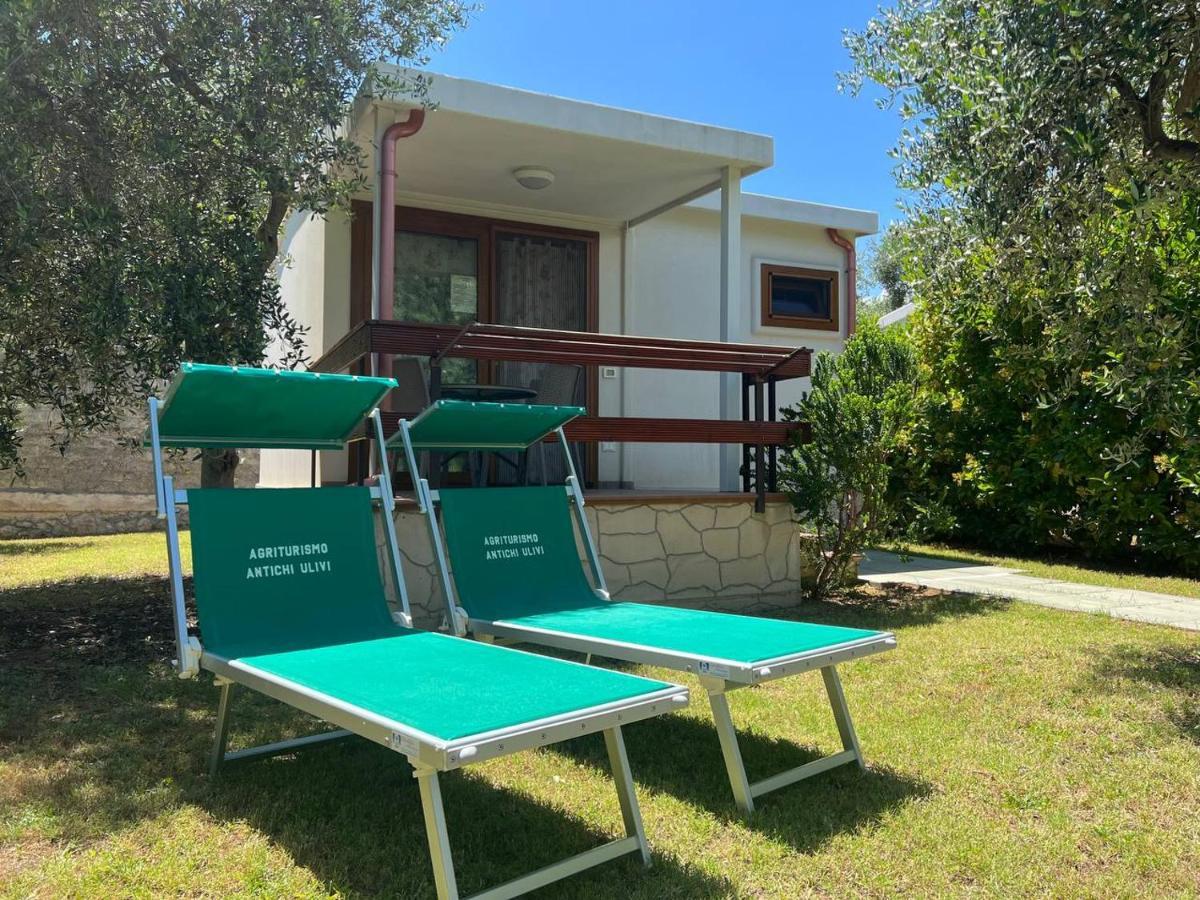 Agriturismo Antichi Ulivi มัตตีนาตา ภายนอก รูปภาพ