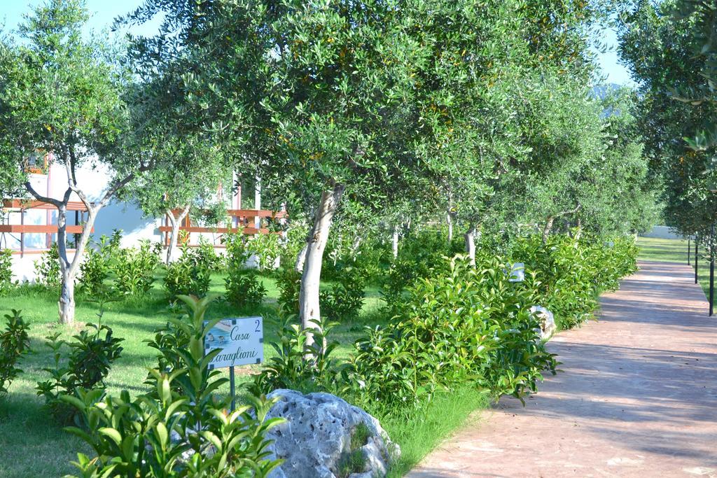 Agriturismo Antichi Ulivi มัตตีนาตา ภายนอก รูปภาพ