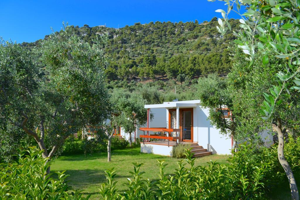 Agriturismo Antichi Ulivi มัตตีนาตา ภายนอก รูปภาพ