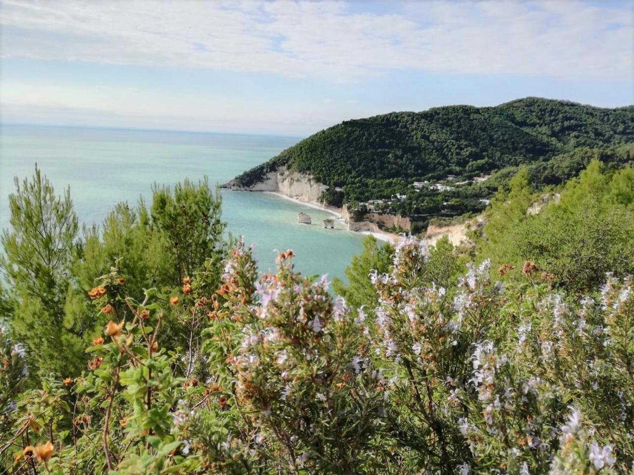 Agriturismo Antichi Ulivi มัตตีนาตา ภายนอก รูปภาพ