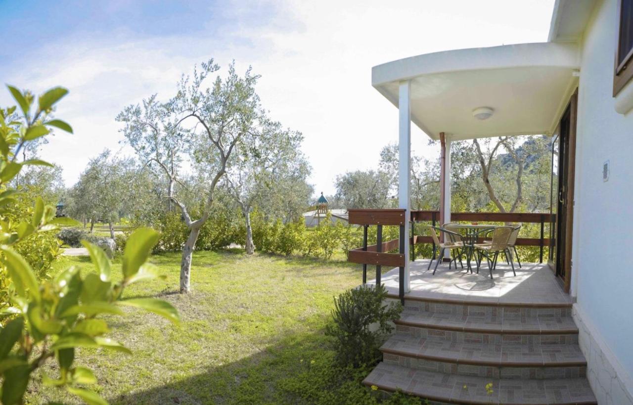 Agriturismo Antichi Ulivi มัตตีนาตา ภายนอก รูปภาพ